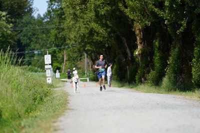 K9 Run 2026の写真