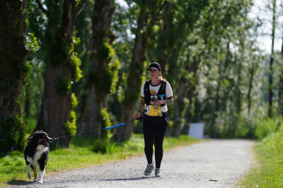K9 Run 2026の写真