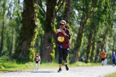 K9 Run 2026の写真