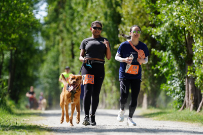 K9 Run 2026の写真