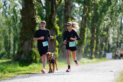 K9 Run 2026の写真