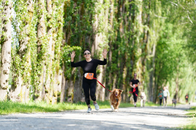 K9 Run 2026の写真