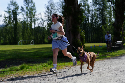 K9 Run 2026の写真