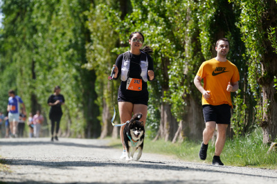 K9 Run 2026の写真