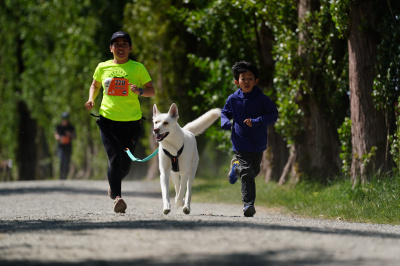 K9 Run 2026の写真