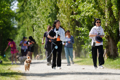K9 Run 2026の写真