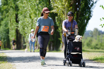 K9 Run 2026の写真