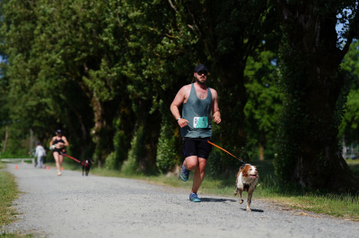 K9 Run 2026の写真