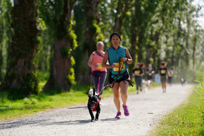 K9 Run 2026の写真