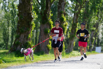 K9 Run 2026の写真