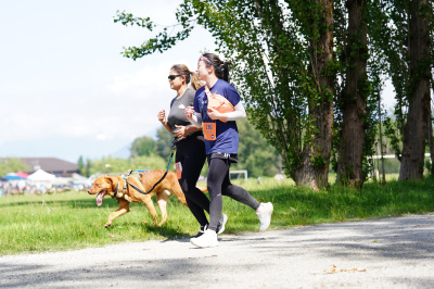 K9 Run 2026の写真