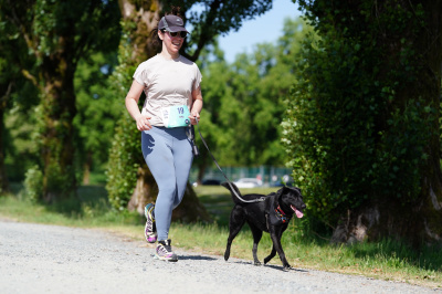 K9 Run 2026の写真