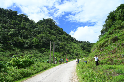 photo