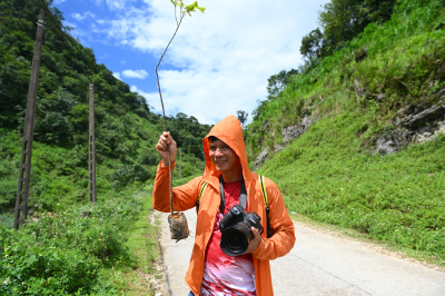 photo