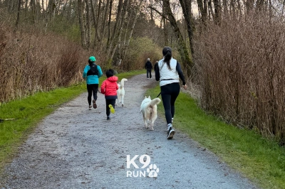 K9 Run 2026